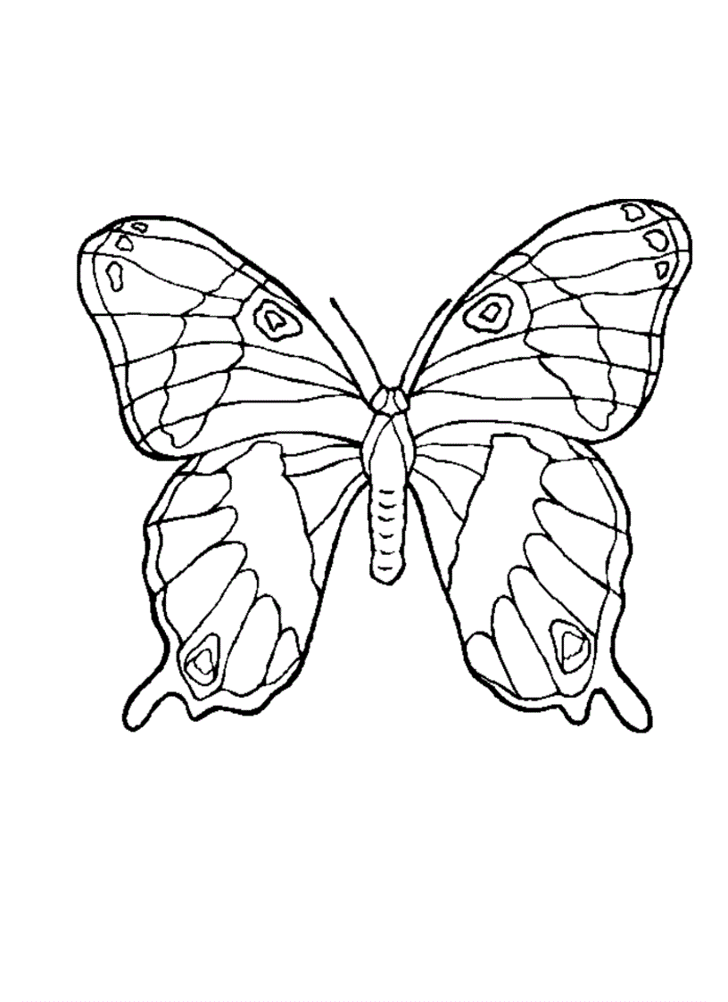 image for page Tranh tô màu bướm cho bé