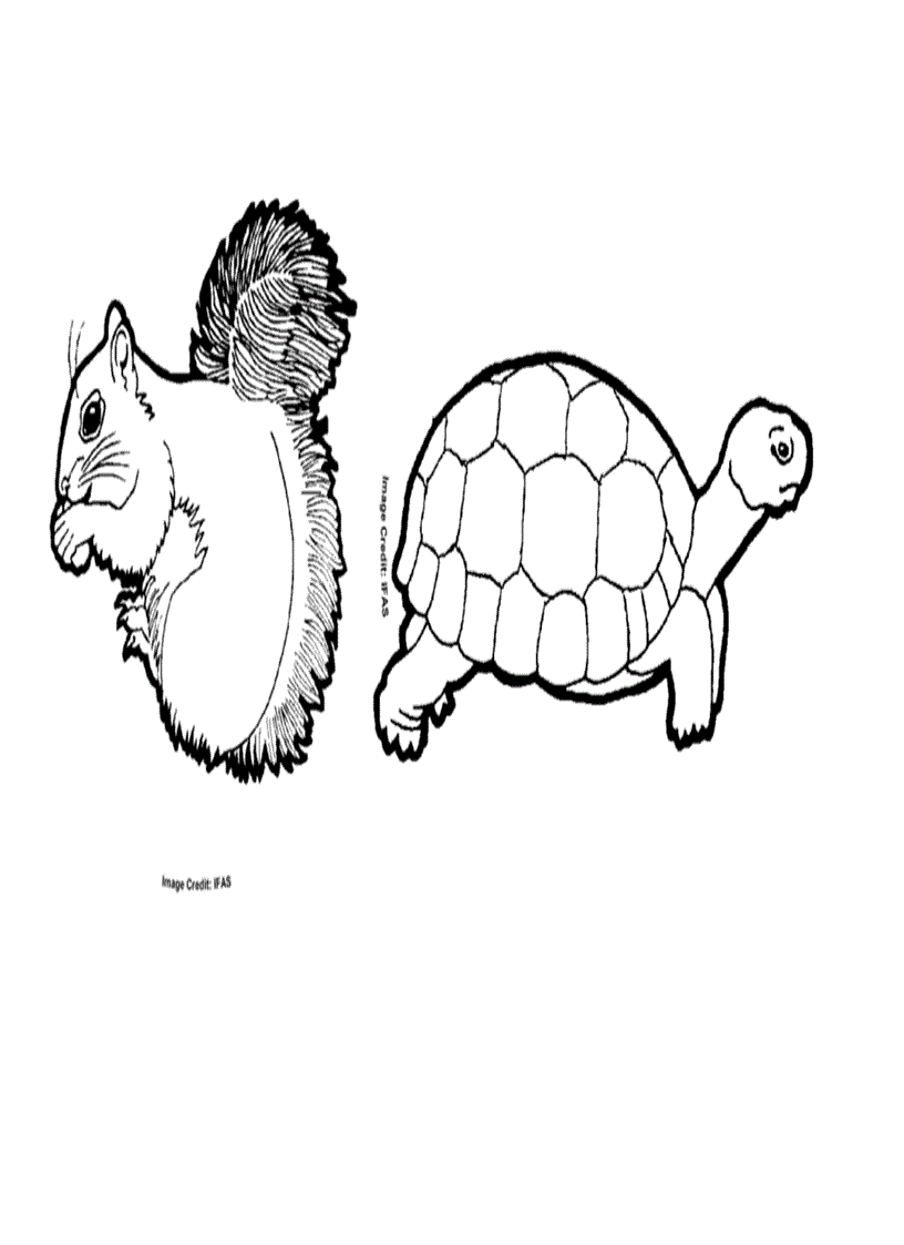 image for page Tranh tô màu cho trẻ 4 tuổi