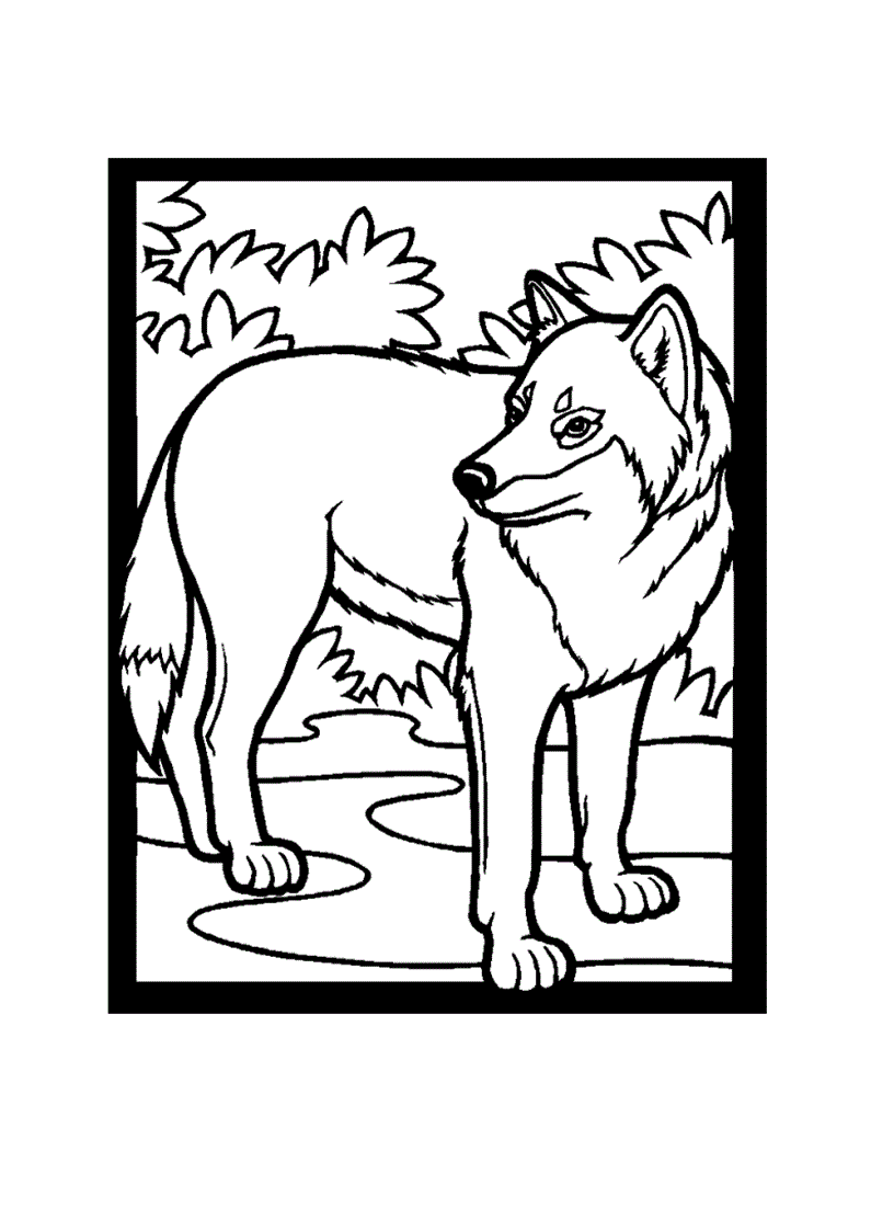 image for page Tranh tô màu