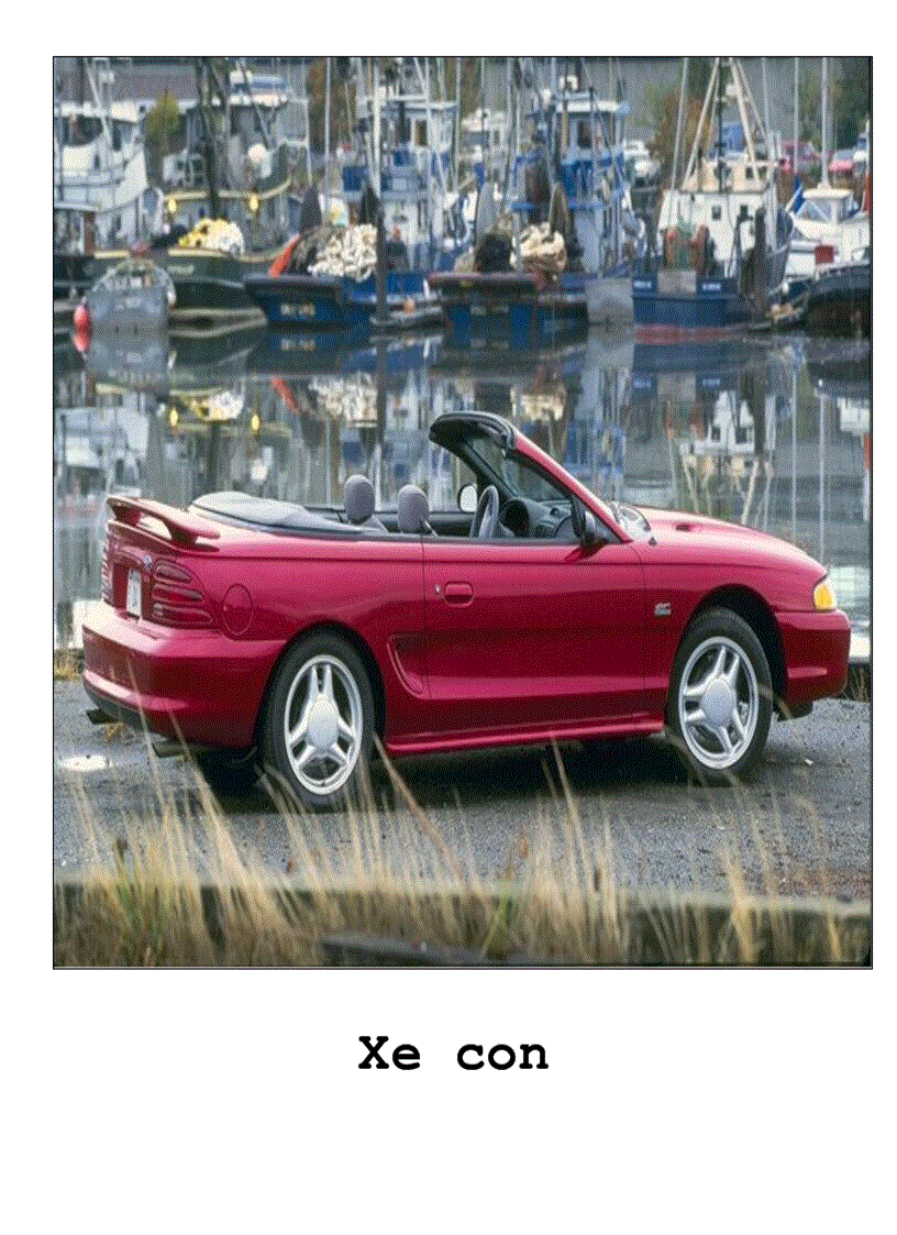 image for page Tranh về các con vật