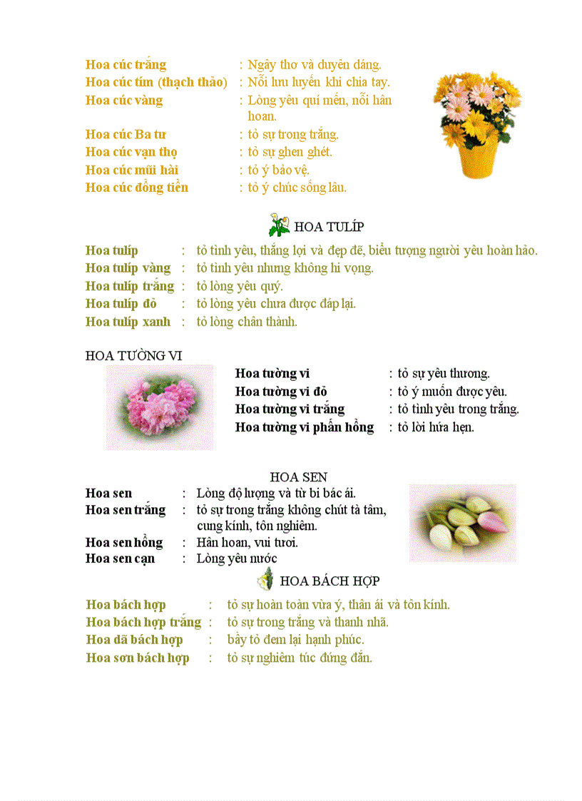 image for page Ngôn ngữ các loài hoa