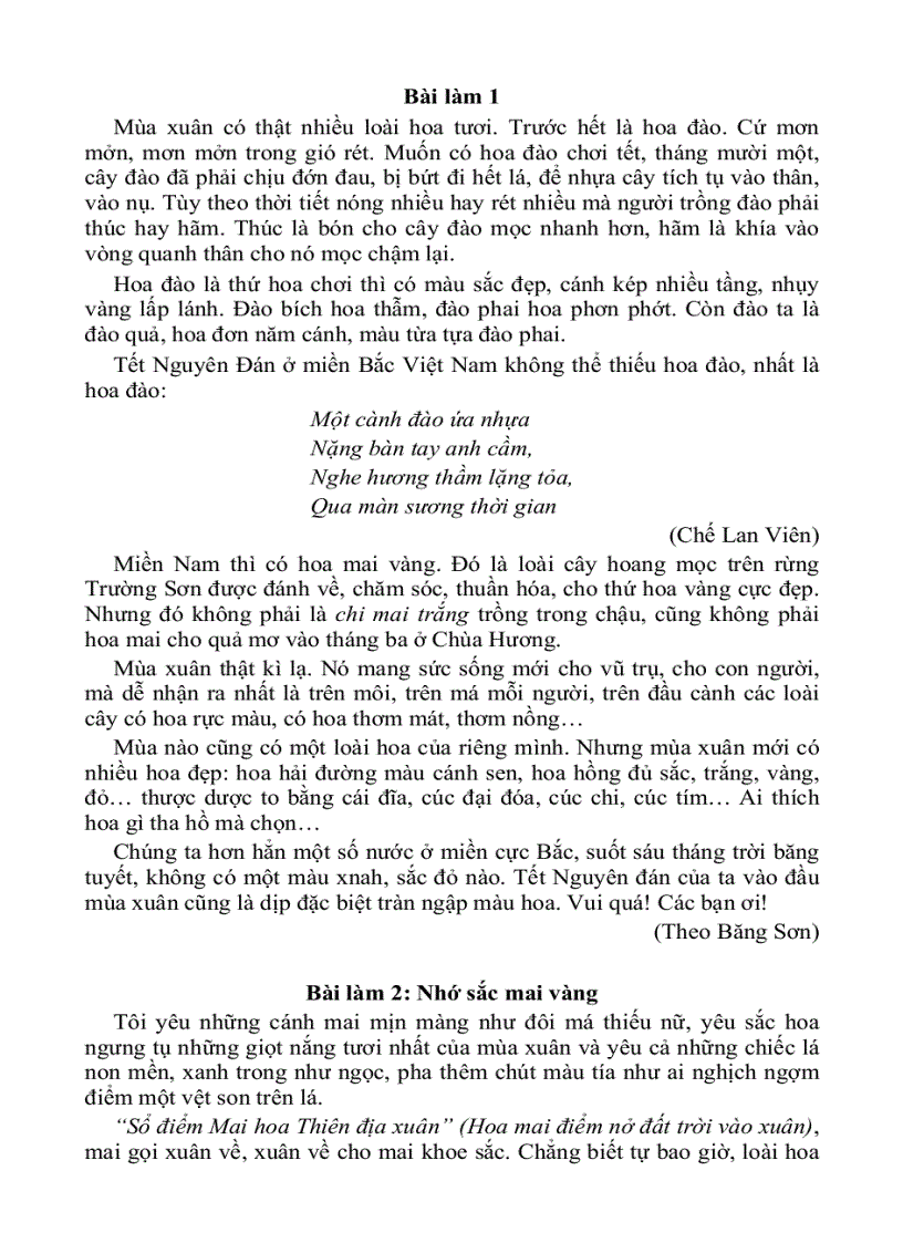 image for page Tả cây đào cây mai ngày tết