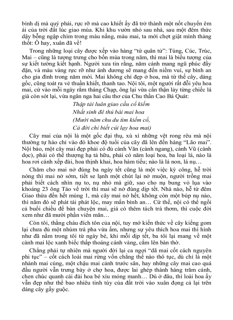 image for page Tả cây đào cây mai ngày tết