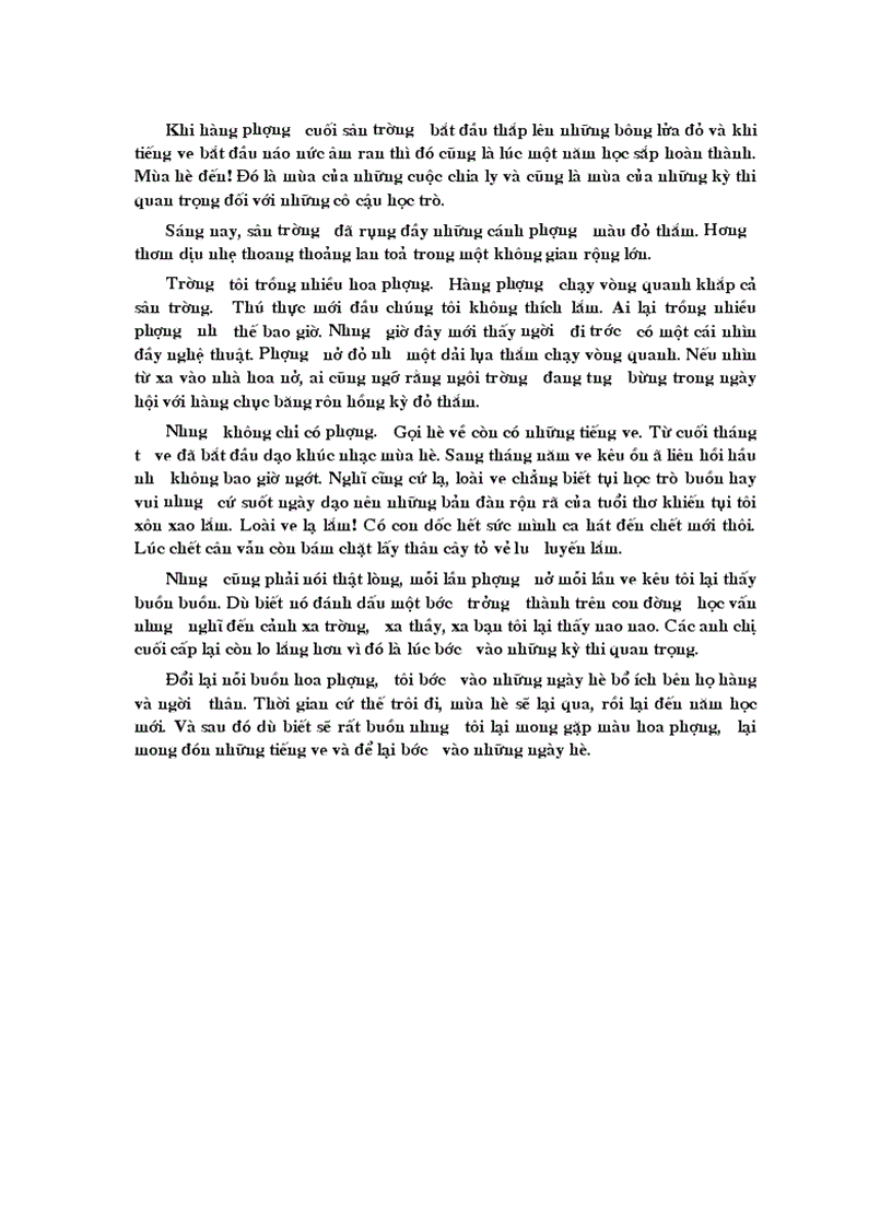 image for page Tả cây phượng