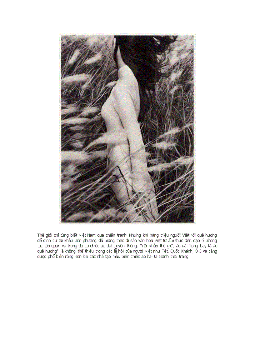 image for page Áo dài việt nam qua các thời kì