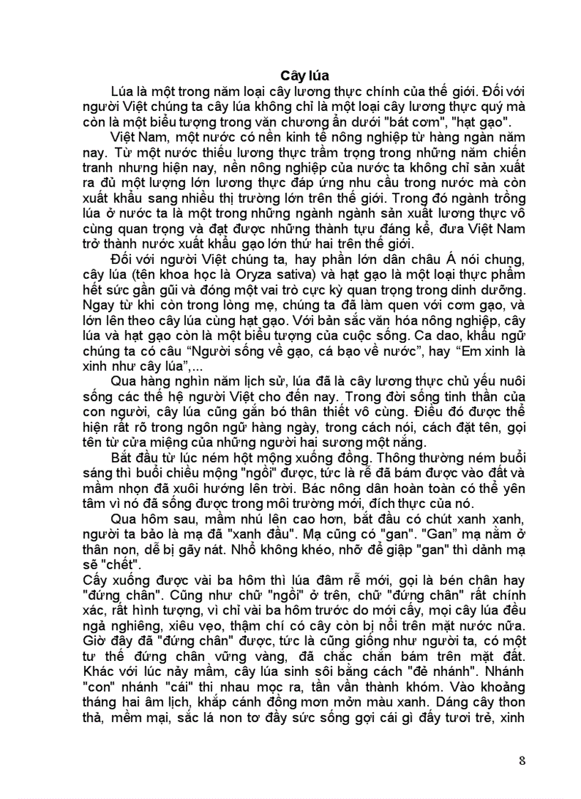 image for page Một số bài văn thuyết minh đã chọn lọc