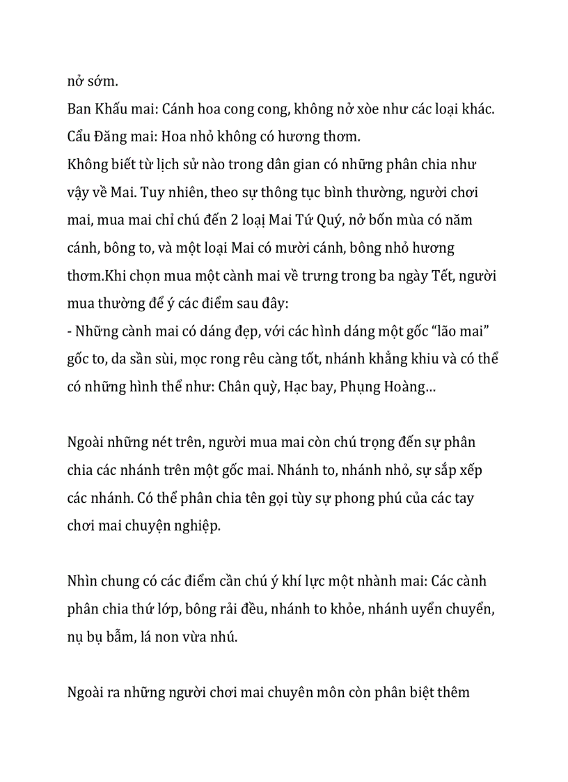 image for page Thuyết minh về hoa mai ngày tết