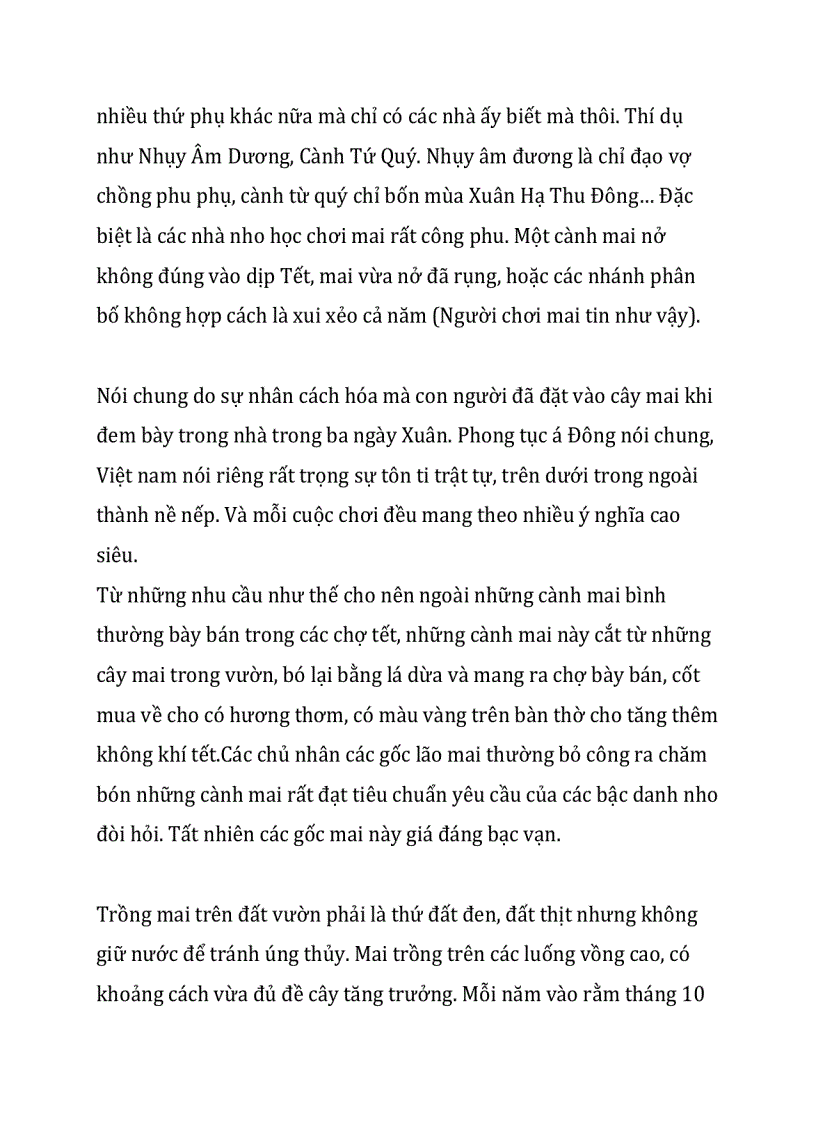 image for page Thuyết minh về hoa mai ngày tết