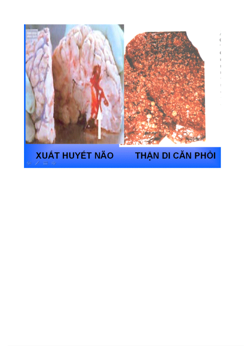 image for page Tranh vanhoc 8 9