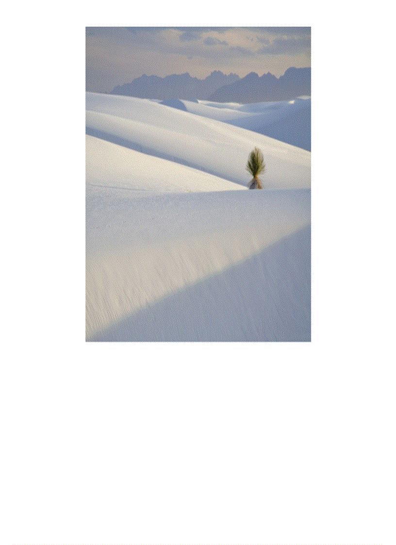 image for page Ảnh đẹp