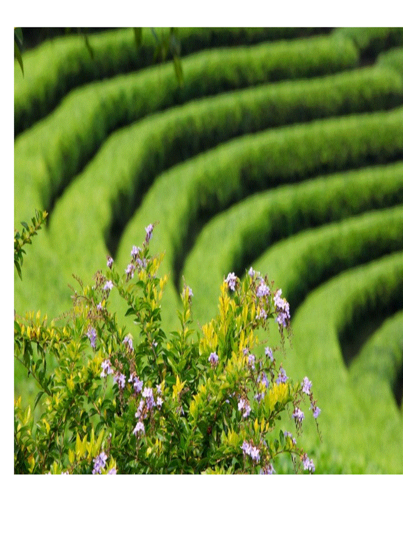 image for page Ảnh đẹp