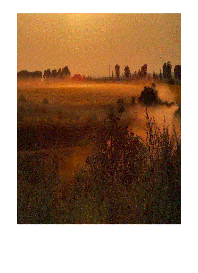 image for page Ảnh đẹp