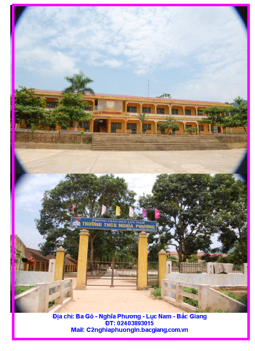 image for page Bia tập san 20 11