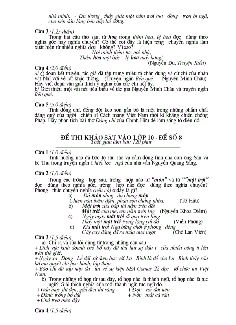 image for page Bộ đề luyện thi ngữ văn 9