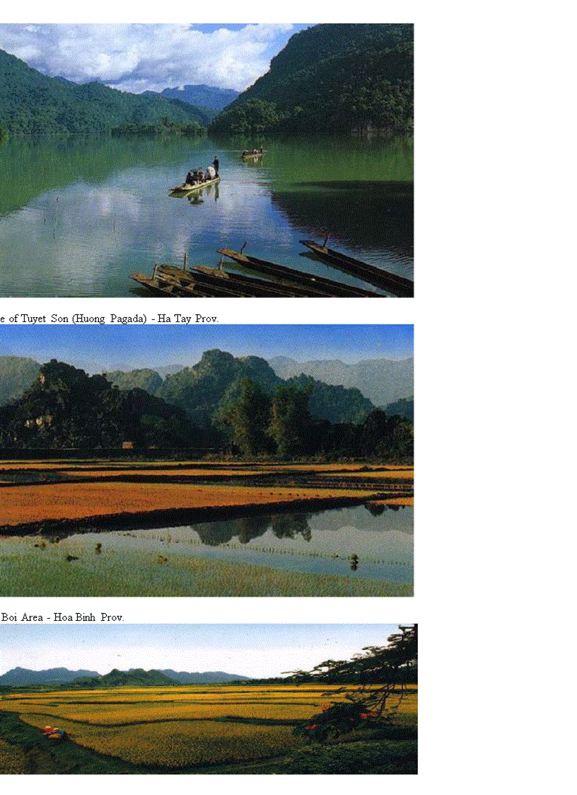 image for page Cảnh đẹp quê hương