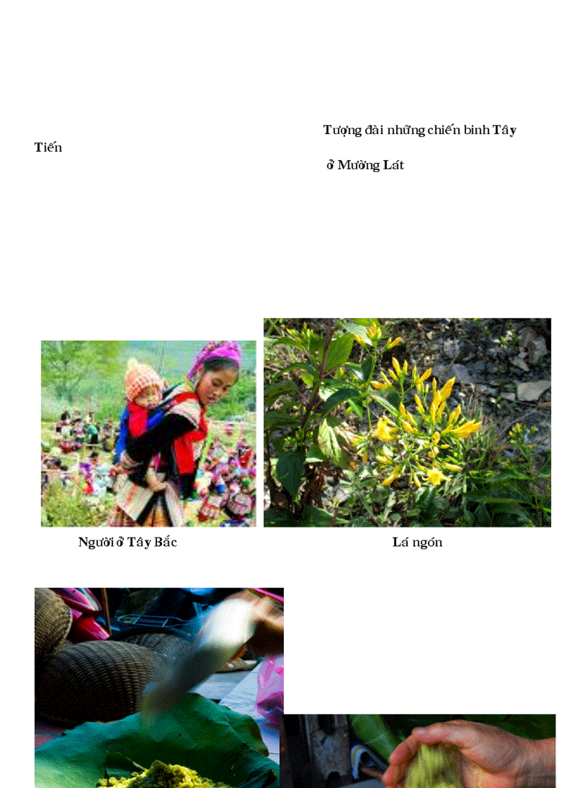 image for page Chân dung 1 số tác giả văn học