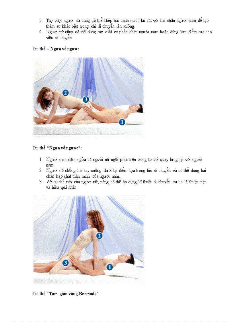 image for page Nghe thuat chan goi