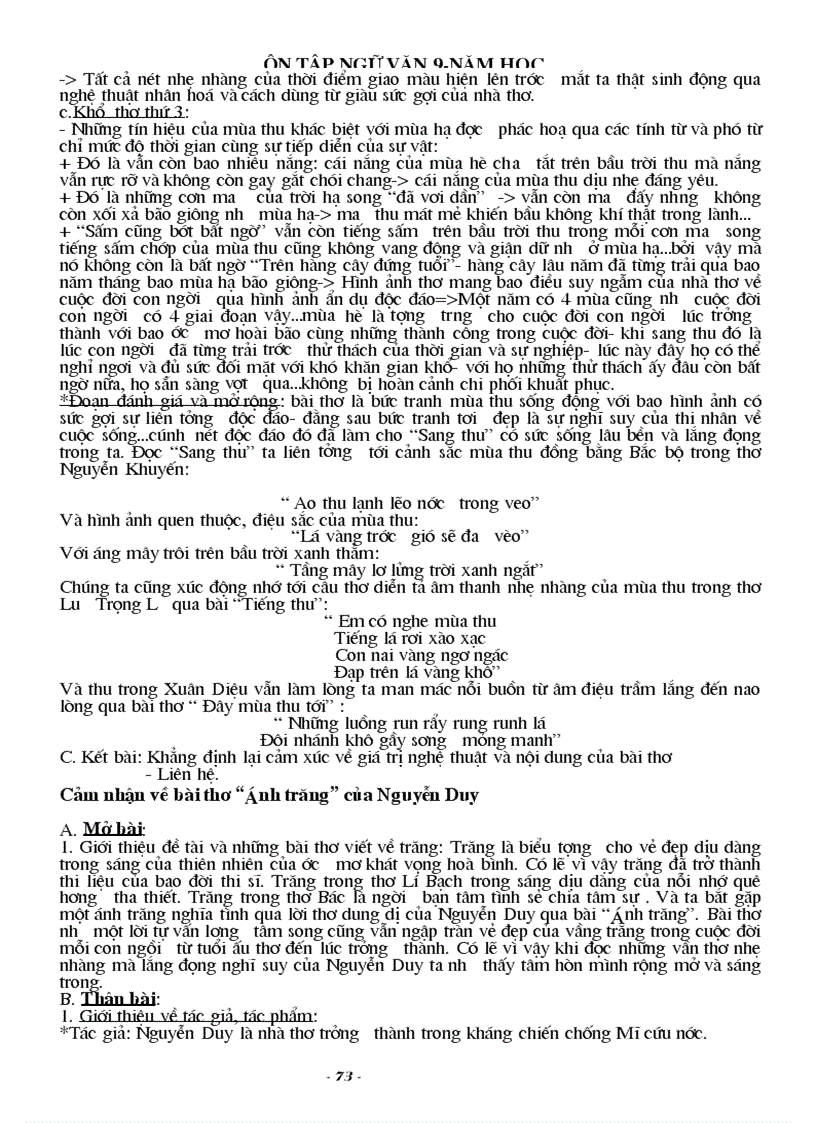 image for page Ôn tập học kì I Ngữ văn 9