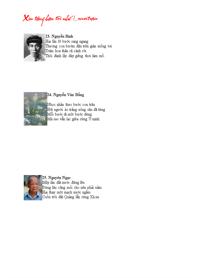 image for page Chân dung nhà văn Việt Nam