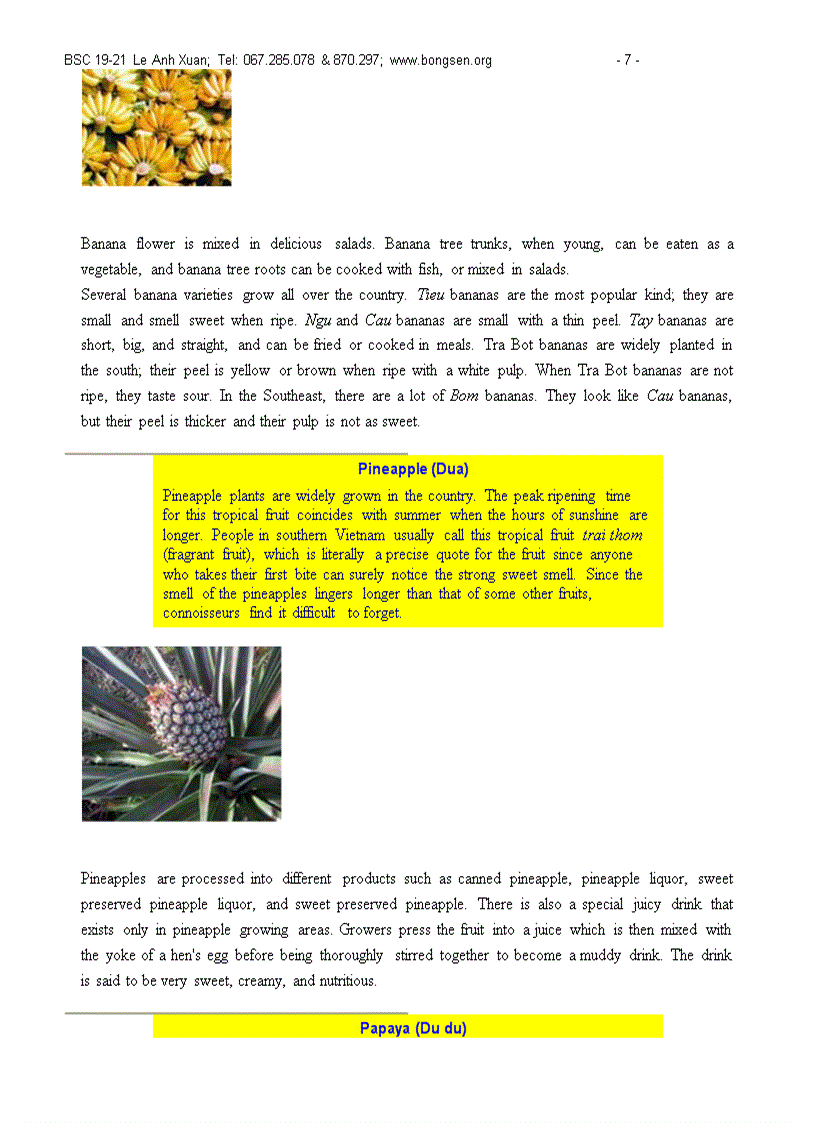 image for page Giao trinh