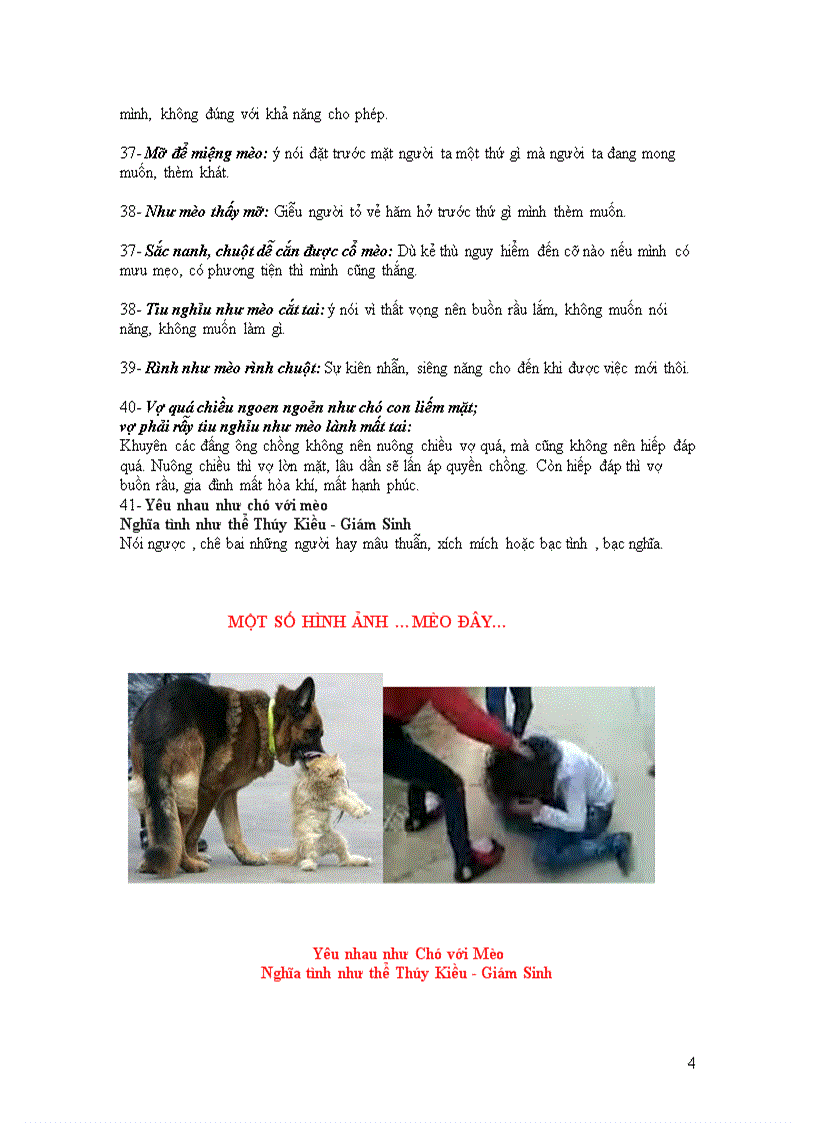 image for page Năm mèo chuyện mão