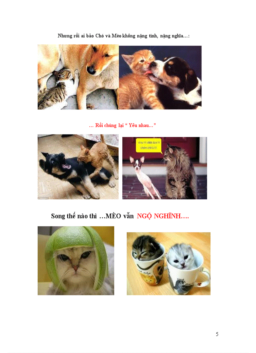 image for page Năm mèo chuyện mão