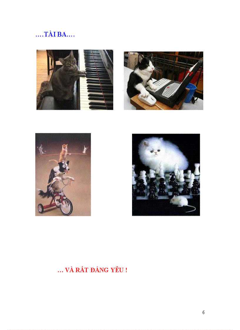 image for page Năm mèo chuyện mão