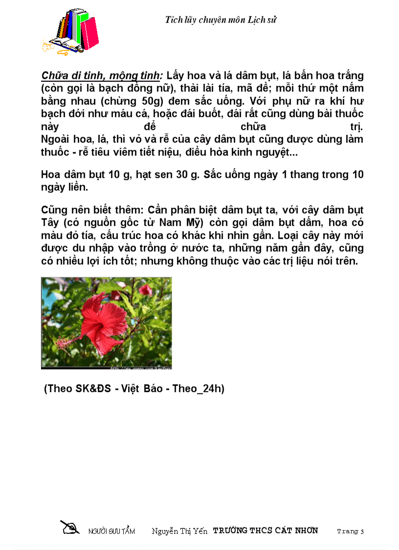 image for page Cay dam but bai thuoc chua benh nguoi rat hay