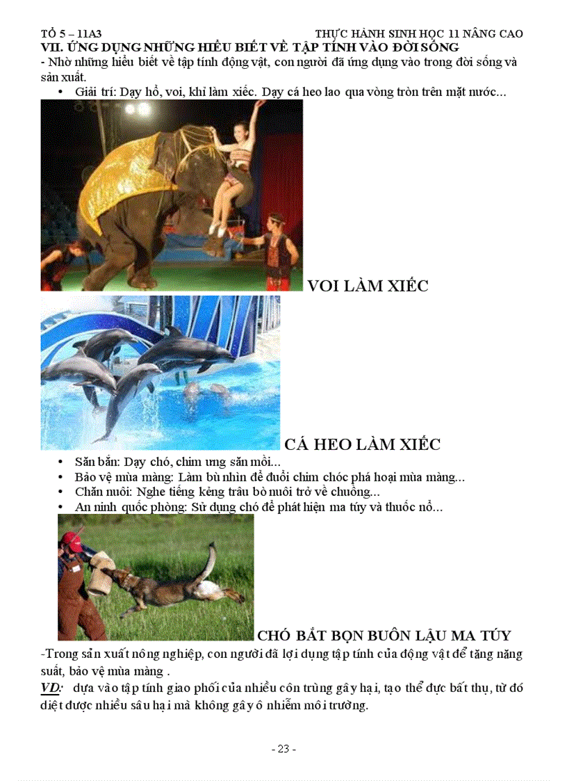 image for page Thực hành sinh 11 bài 33