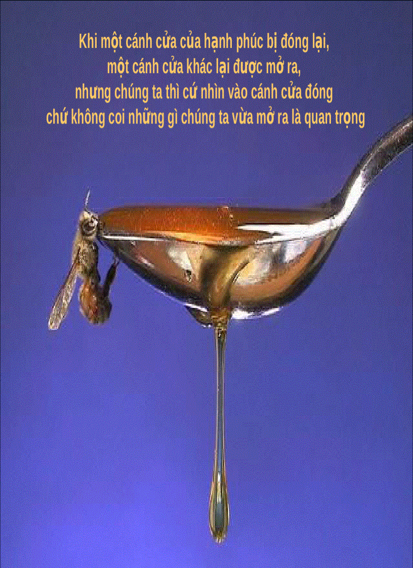 image for page Cuộc đời là gì