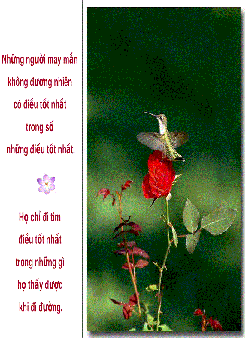 image for page Cuộc đời là gì