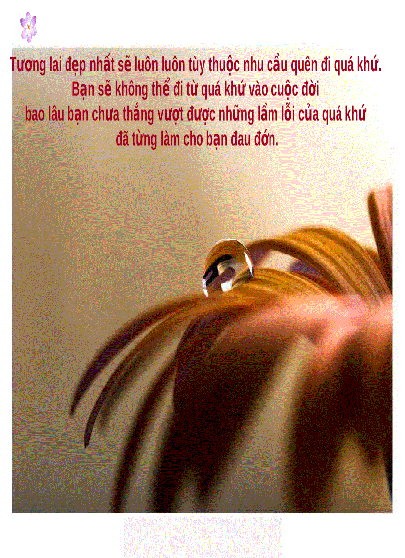 image for page Cuộc đời là gì