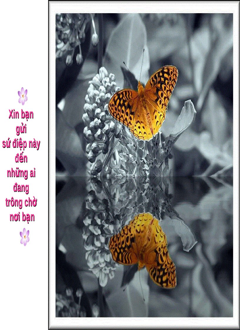 image for page Cuộc đời là gì