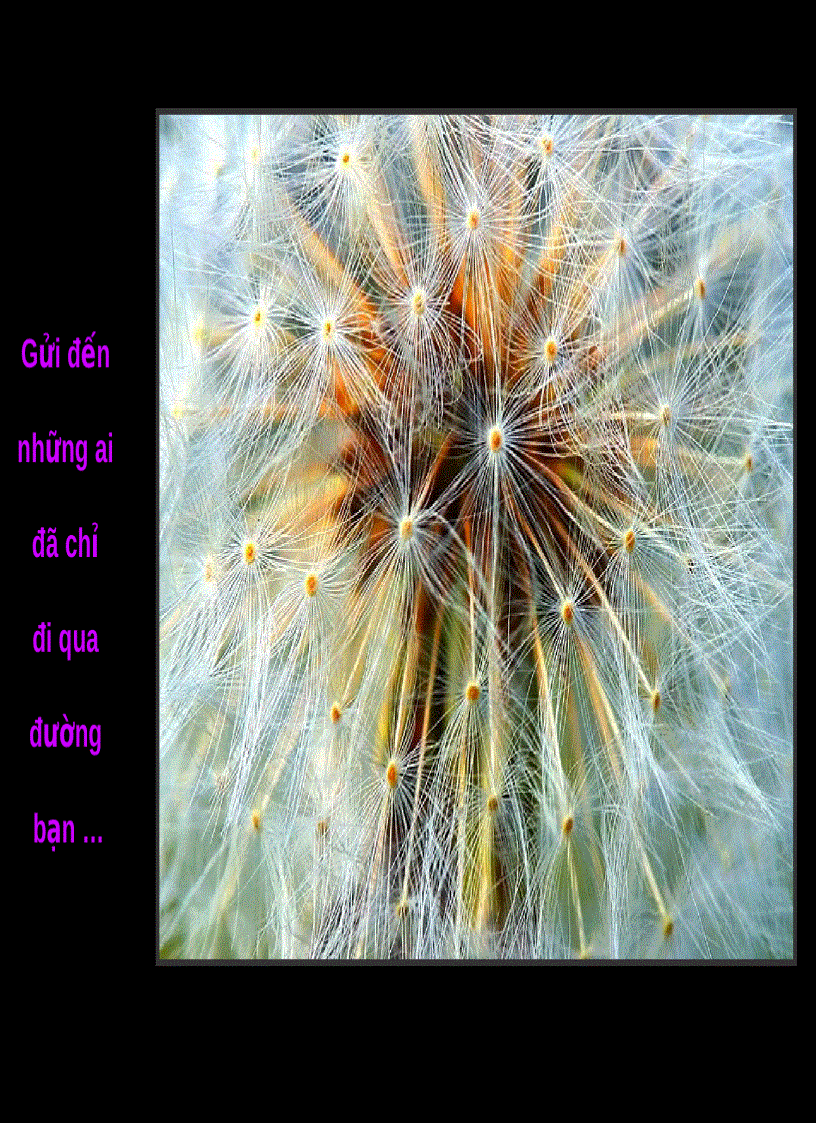 image for page Cuộc đời là gì