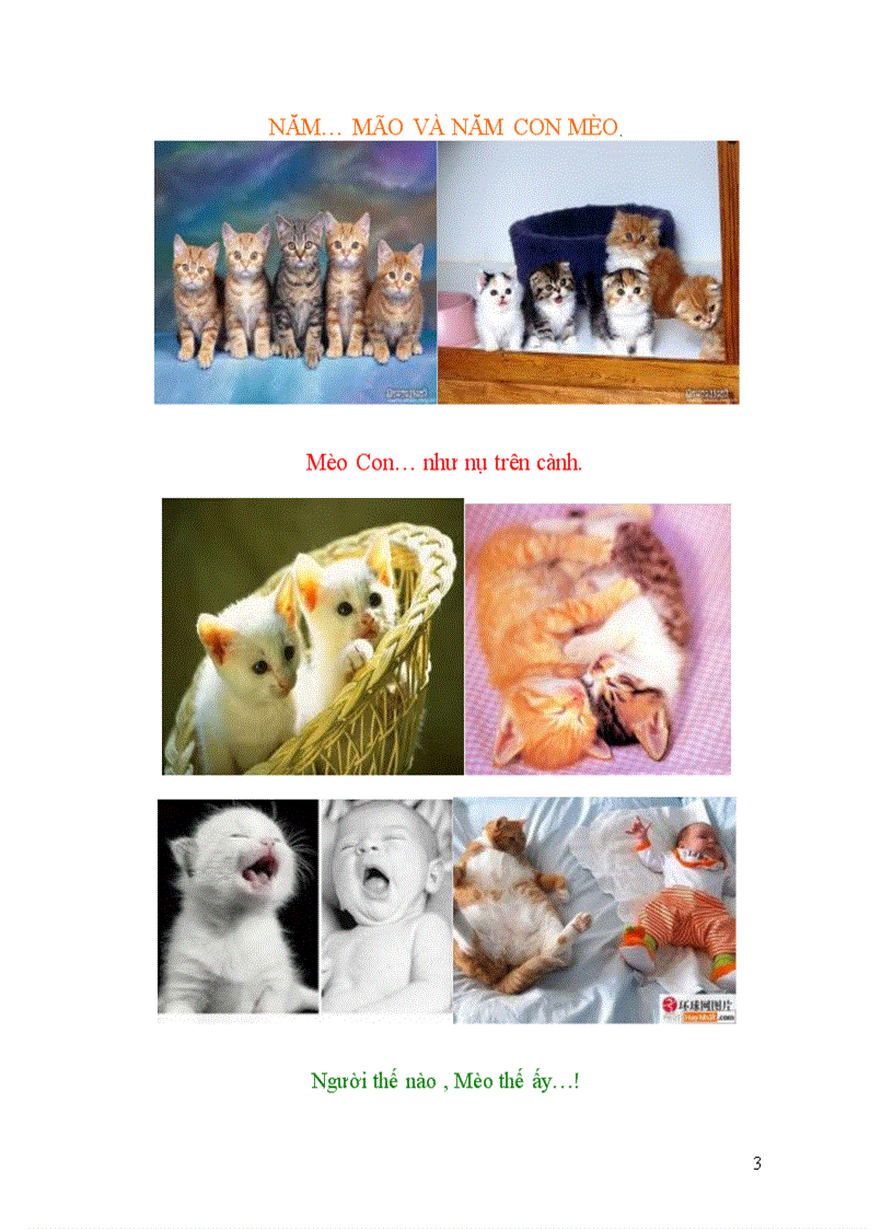 image for page Năm mão chuyện mèo