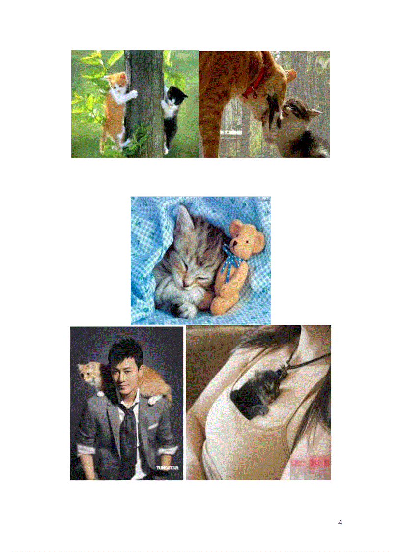 image for page Năm mão chuyện mèo