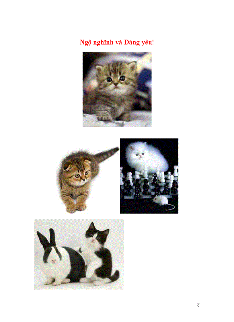 image for page Năm mão chuyện mèo