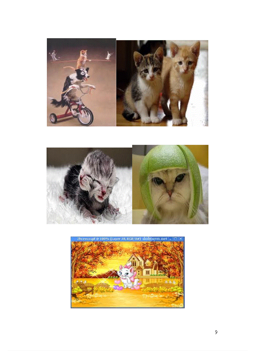 image for page Năm mão chuyện mèo