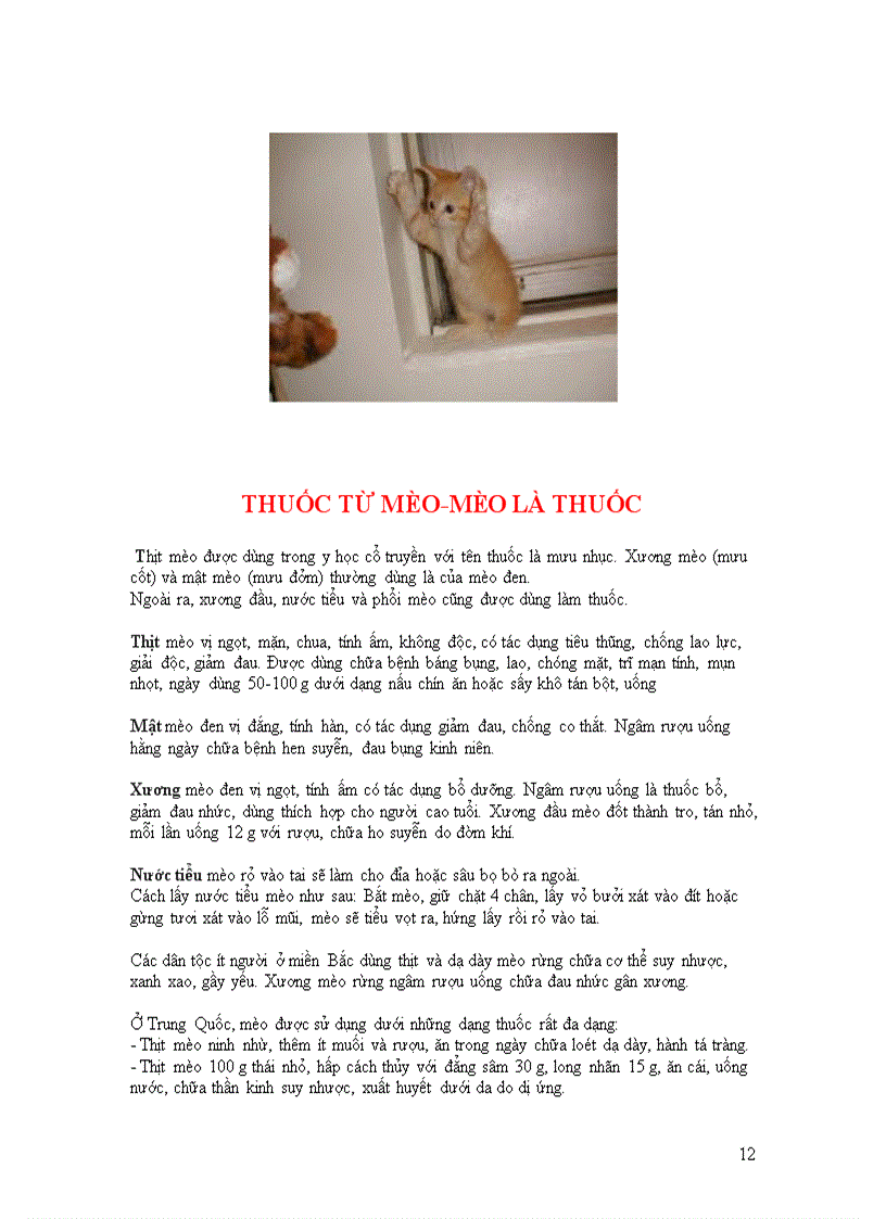 image for page Năm mão chuyện mèo