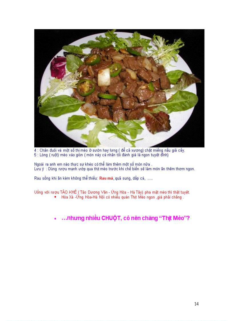 image for page Năm mão chuyện mèo