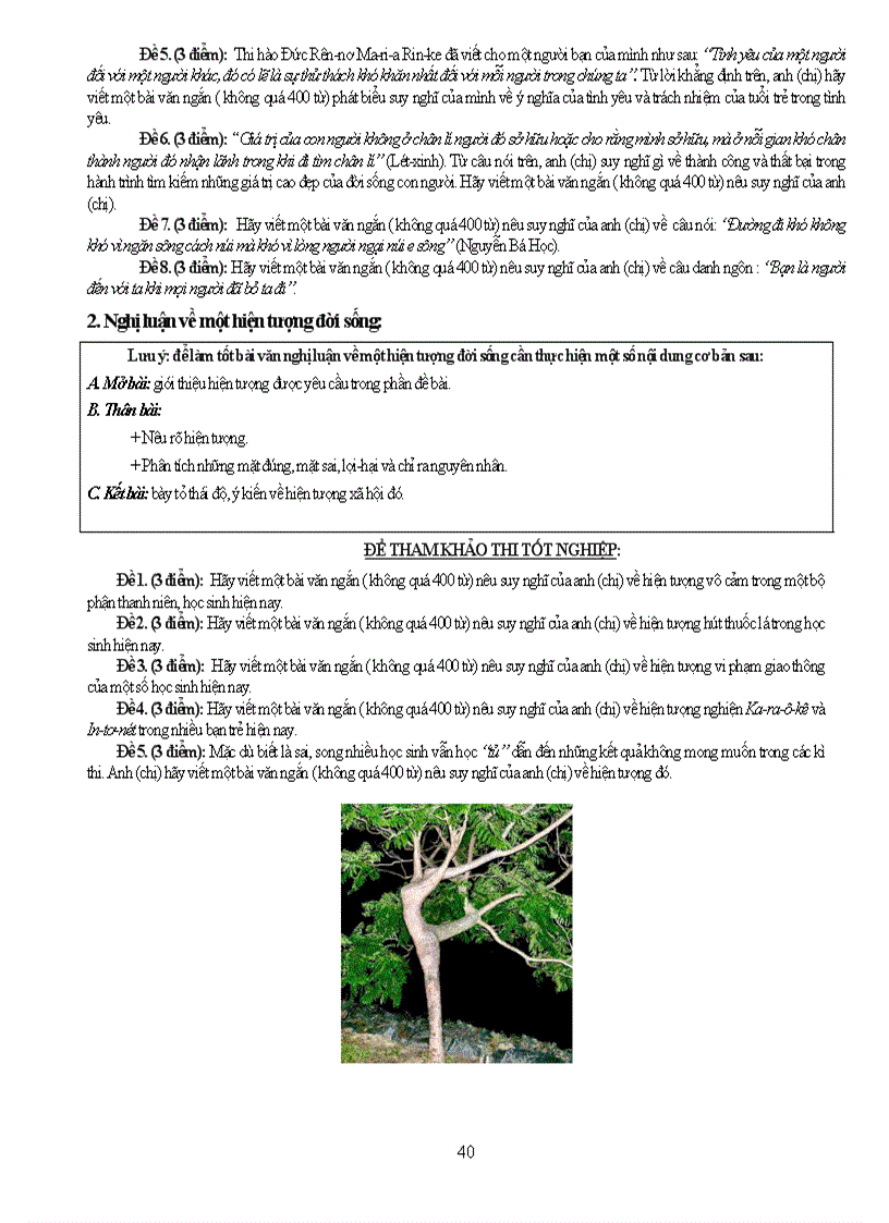 image for page Onthtotnghiep