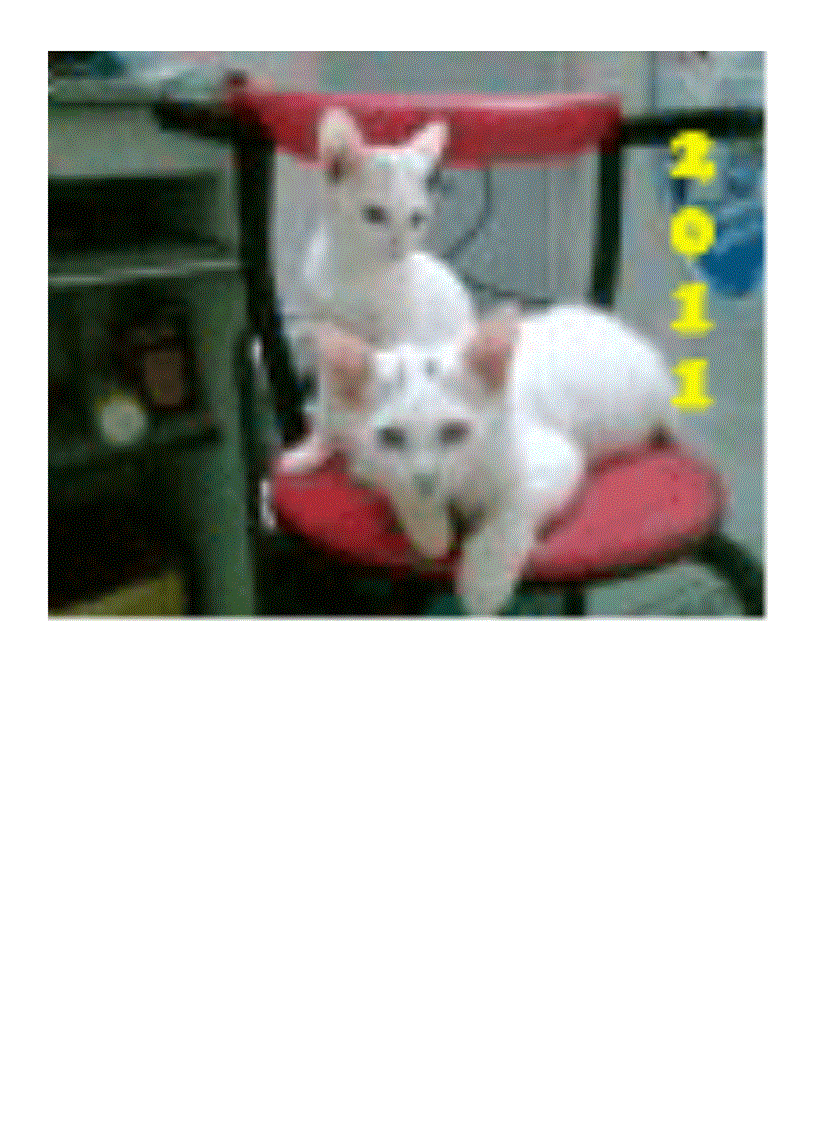 image for page Thiệp chúc tết 2011 đẹp