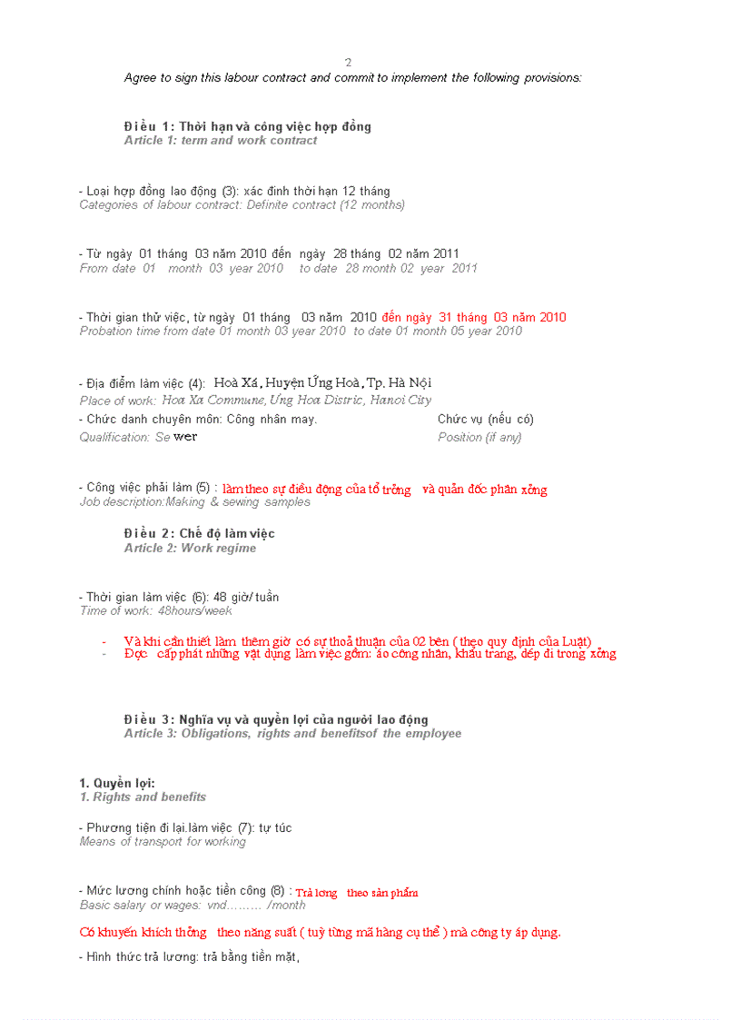 image for page Mau hop dong lao dong Viet Anh