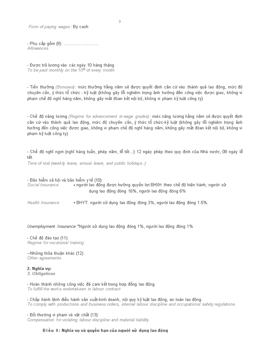 image for page Mau hop dong lao dong Viet Anh