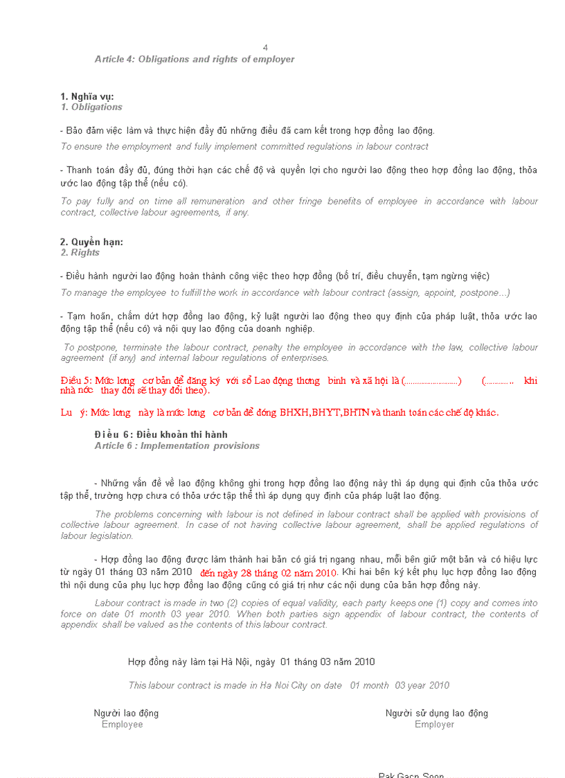 image for page Mau hop dong lao dong Viet Anh