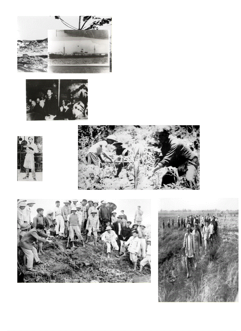 image for page Một số hinhanh về Bác Hồ