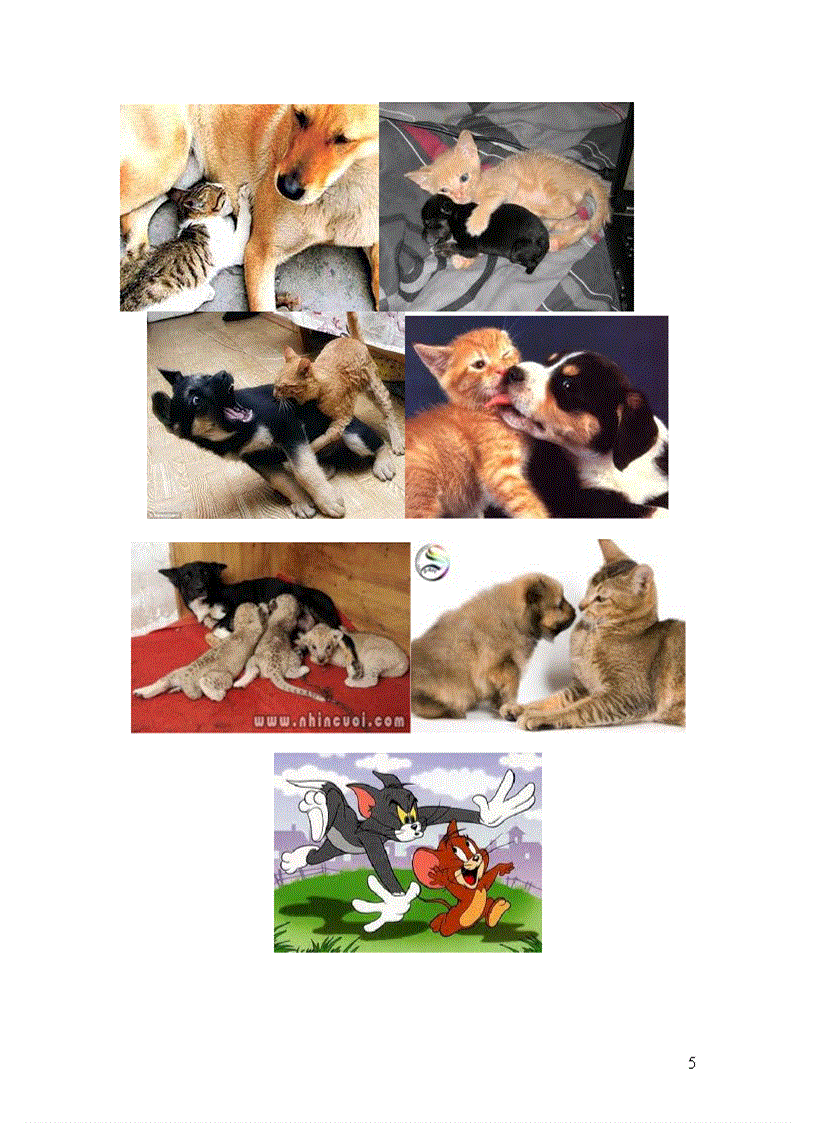 image for page Năm Mão Nói chuyện Mèo