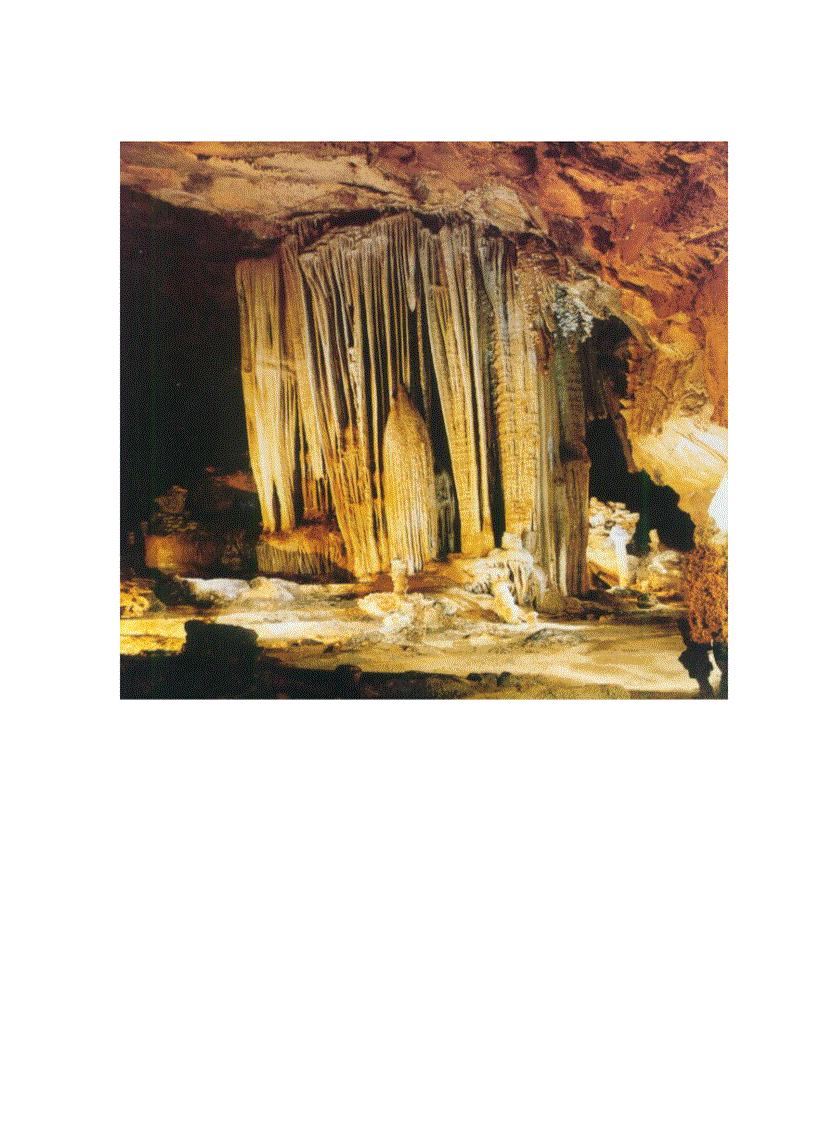 image for page Những bức ảnh đẹp về động phong nha