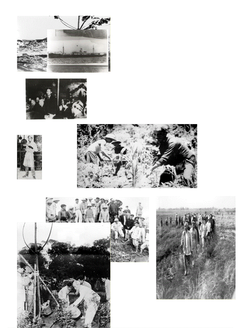 image for page Những hình ảnh về hồ chí minh