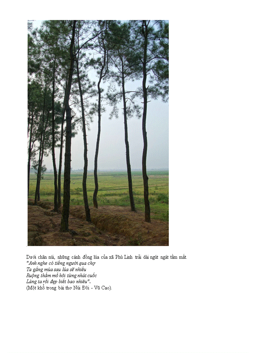 image for page Phân tích bài thơ Núi đôi của Vũ Cao